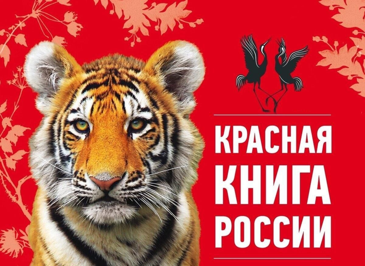 Памятка о порядке действий в отношении обнаруженного в состоянии, угрожающем его жизни или жизни людей, животного, занесенного в Красную книгу Российской Федерации.